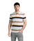 Polo New Hike Stripes MC - 20035-13 - comprar online