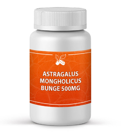 ASTRAGALUS MONGHOLICUS BUNGE 500MG CÁPSULAS