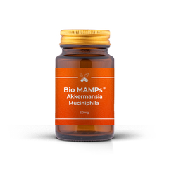 Bio MAMPs ® AKKERMANSIA+ ACTINIDINA P200 CÁPSULAS - comprar online