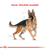 Royal Canin Ovejero Aleman Adulto 12 kg - Multipet