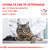 Royal Canin Gatos Castrados Weight Control 12 kg - tienda online