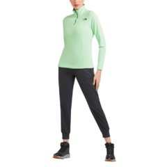 BLUSÃO FEMININO FLEECE 1/4 ZIP PULOVER GLACIER PATINA GREEN 2REDN6S0 THE NORTH FACE - comprar online