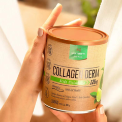 Collagen Derm Verisol + Ácido Hialurônico 330g - Nutrify na internet
