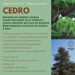 Imagem do Sabonete Líquido Esfoliante Cristais de Quartzo Raízes 250ml