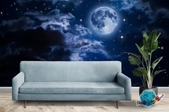 Banner de la categoría VINILO PARA PARED DE LUNA