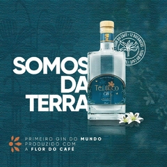 Gin Telúrico London Dry 750ml - Expert Blenders Store