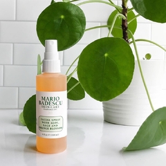 Facial Spray With Aloe, Sage And Orange Blossom - 118 ML - comprar online
