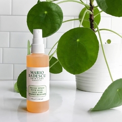 Facial Spray With Aloe, Sage And Orange Blossom - 236 ML - comprar online