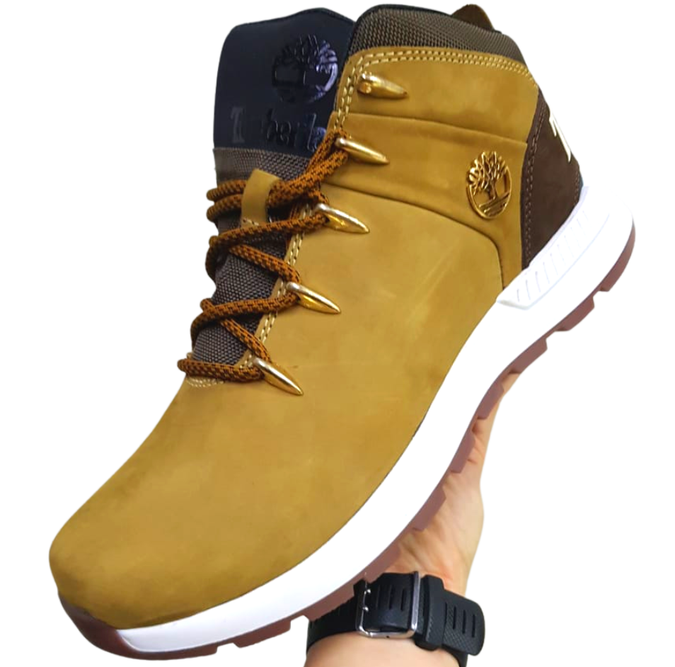 Timberland beige homme new arrivals