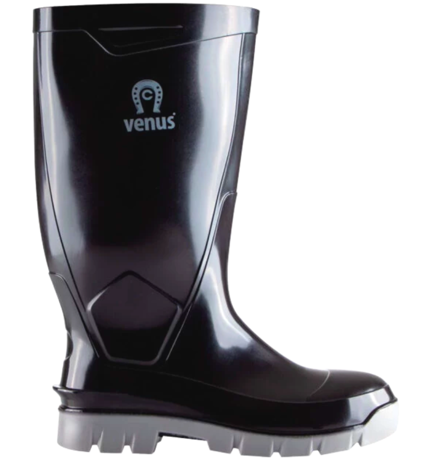 Botas venus shop
