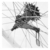 Imagen de Llanta trasera con maza contrapedal R26 de 36 rayos