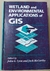 Wetland And Environmental Applications Of Gis - Autor: John G. Lyon; Jack Mccarthy (1995) [usado]