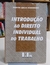 Introdução ao Direito Individual do Trabalho - Autor: Marcos Abílio Domingues (2000) [usado]