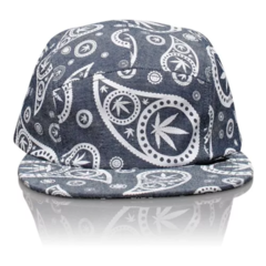 Gorra Official The Haf Pasley