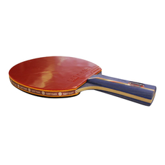 PALETA PING PONG SENSEI 6* - sommerdeportes