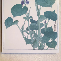 Cuadro Vintage Bastidor Premium 33 x 48cm. /Modelo 220/ Bloeiende hosta, Ohara Koson, año 1920 - 1930.