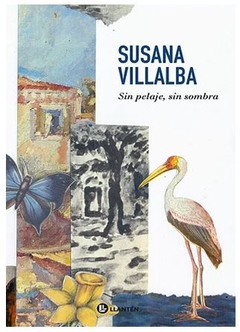 SIN PELAJE, SIN SOMBRA de Susana Villalba