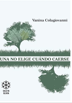 UNA NO ELIGE CUÁNDO CAERSE de Vanina Colagiovanni