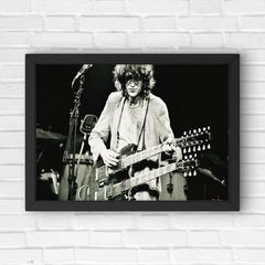 PLACA JIMMY PAGE - comprar online