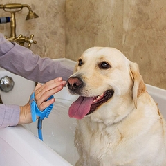 Mangueira Luva para Banho Ducha Pet 1,5m na internet