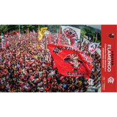 Poster Raça 44x29cm - Flamengo