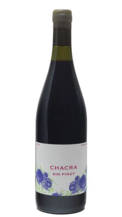 Chacra Sin Azufre Sin Pinot Malbec