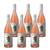 Brazos De Los Andes Malbec Rose Caja x6u
