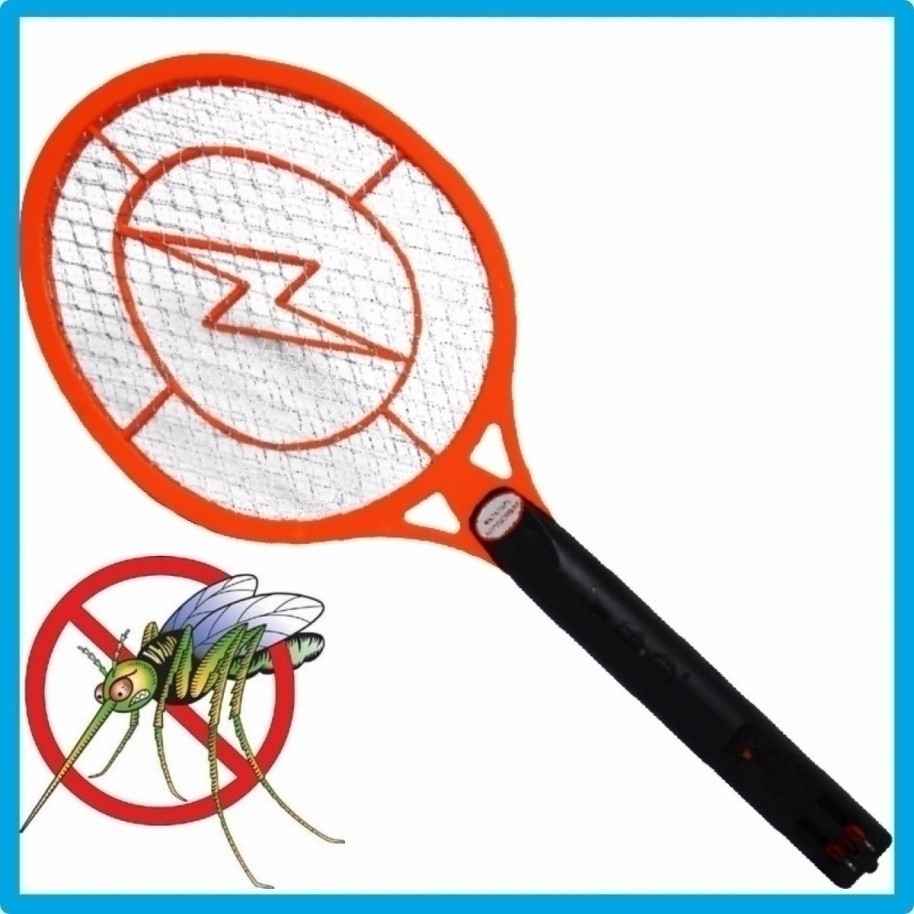 3. Elimina al insecto: