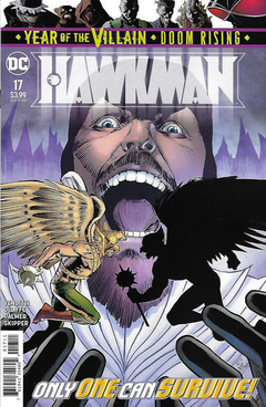 Hawkman 17