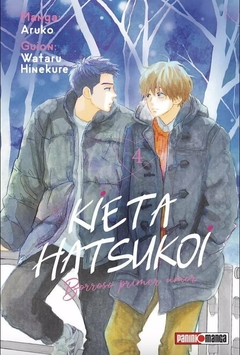 Kieta Hatsukoi - Borroso primer amor 04