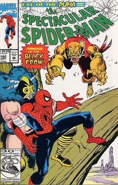 Spectacular Spider-Man 192