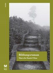 Bildungsroman, Marcelo Díaz