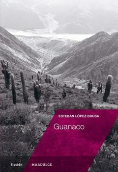 Guanaco, Esteban López Brusa