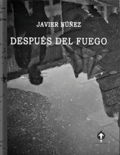 Después del fuego, Javier Núñez