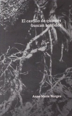 El castillo de quienes buscan sentidos, Anne-Marie Norgeu