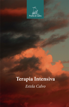 Terapia intensiva, Estela Calvo