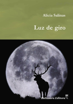 Luz de giro, Alicia Salinas