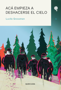 Acá empieza a deshacerse el cielo, Lucila Grossman