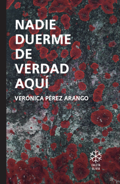 Nadie duerme de verdad aquí, Verónica Pérez Arango