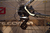 Bicicleta Rod 29 Mosso 2915 24v Shimano Altus Disco Hidraulico Talle 17 - tienda online