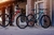 Bicicleta R29 Venzo Primal XC Shadow Shimano 24v Disco Hidraulico Talle 16 - tienda online