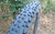 Cubiertas Bicicleta MTB Schwalbe Racing Ralph R29 - Bicicletería Sin Límite 