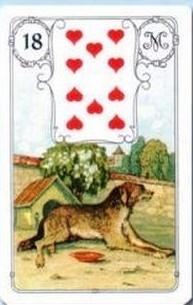 Coruja Azul Lenormand - Atelier Cigana da Estrada