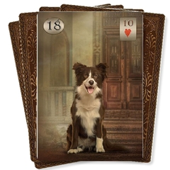 Thelema Lenormand - comprar online