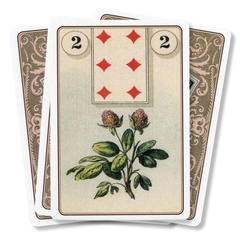 Laura Tuan Lenormand Oracle na internet