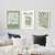 Set 3 Canvas - Matisse Cut Outs Verde - comprar online