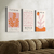 Set 3 Canvas - Matisse Naranja y Rosa