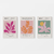 Set 3 Canvas - Matisse pastel 4 - comprar online