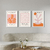 Set 3 con Marco - Matisse Naranja y Rosa - comprar online