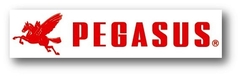 Banner da categoria PEGASUS